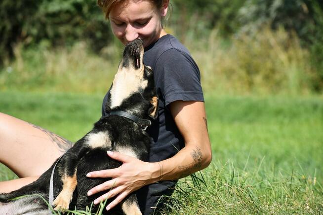 Megi szuka domu, suczka, młoda, mała