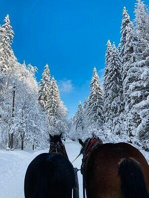 Wisła - Sylwestrowy Kulig Z Biesiadą + Kapela Góralska