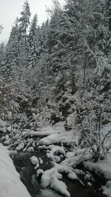 Wisła - Sylwestrowy Kulig Z Biesiadą + Kapela Góralska