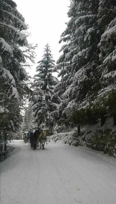 Wisła - Sylwestrowy Kulig Z Biesiadą + Kapela Góralska