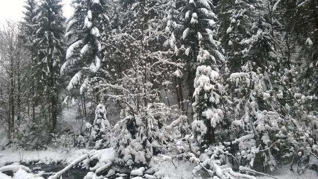 Wisła - Sylwestrowy Kulig Z Biesiadą + Kapela Góralska
