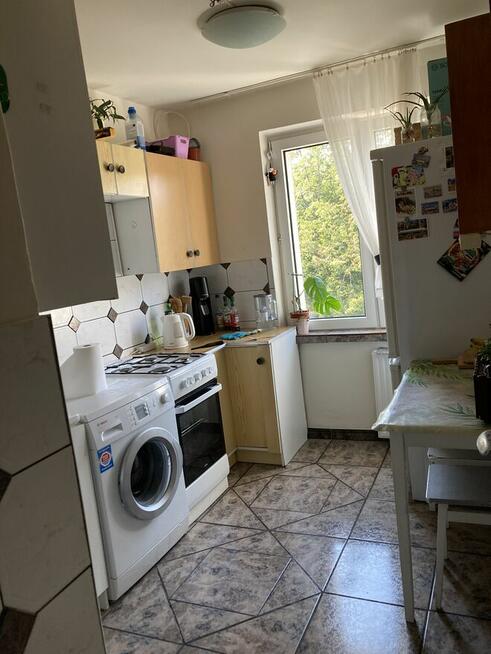 1 osobowy 15m2 Poznań Winogrady