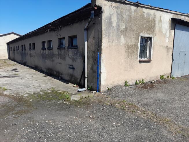 SPRZEDAM MAGAZYN O POWIERZCHNI 300m2