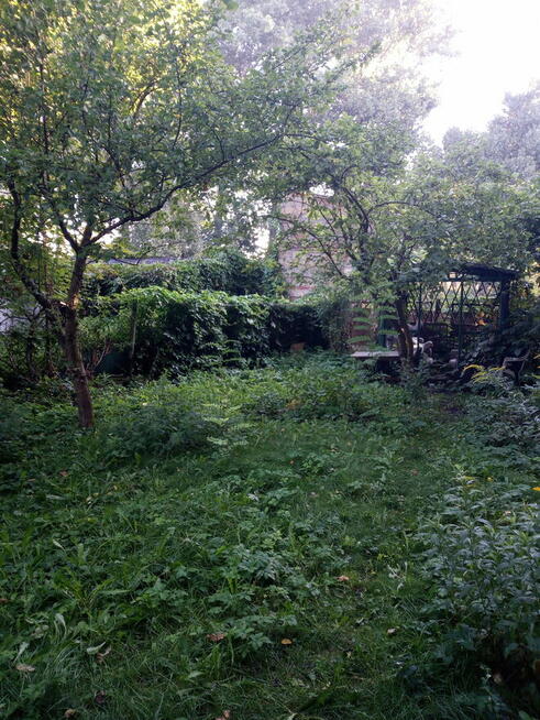 Zamienię dom w Ciechanowie blisko Pkp na siedlisko na wsi.