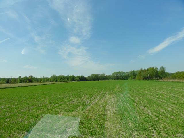 Działka budowlana Warszawa Wilanów