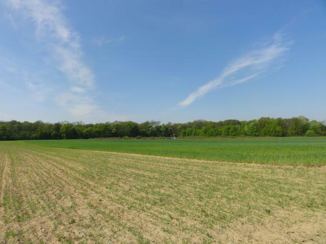 Działka budowlana Warszawa Wilanów