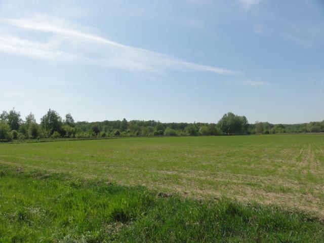 Działka budowlana Warszawa Wilanów