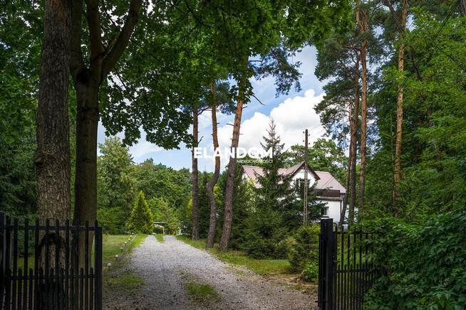 Duża działka w otoczeniu lasów Falenica