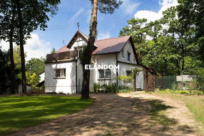 Duża działka w otoczeniu lasów Falenica