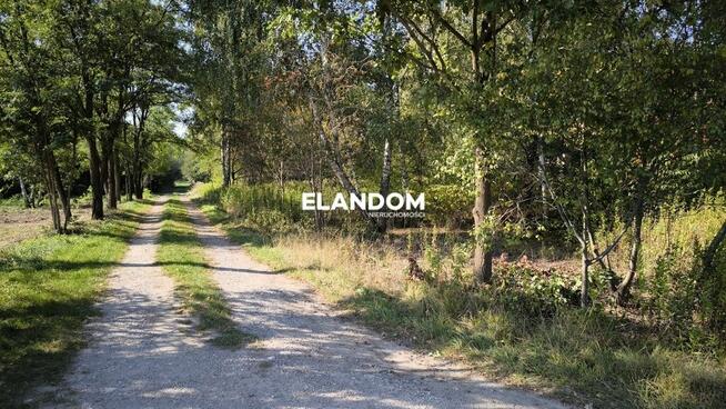 5 dużych działek z WZ (okazyjna cena)