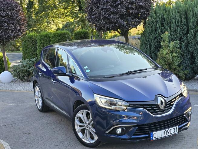 Renault Scenic 1.3 Tce 140KM / I-właściciel / Serwisowany w ASO / Bezwypadkowy