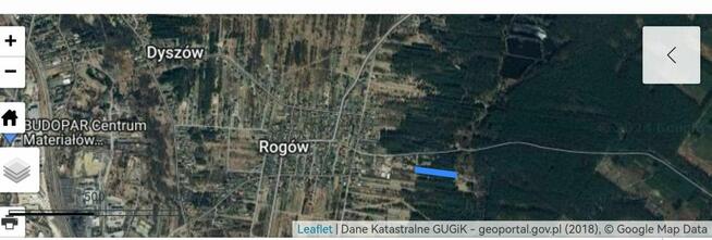 Sprzedam działkę leśną