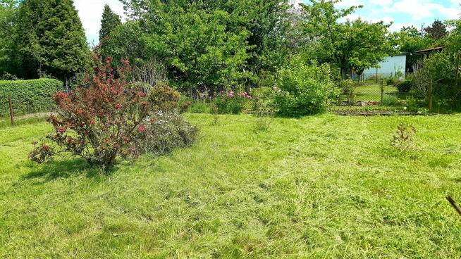 Działka ROD ogródek działkowy Gliwice sprzedam