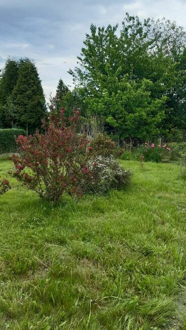 Działka ROD ogródek działkowy Gliwice sprzedam