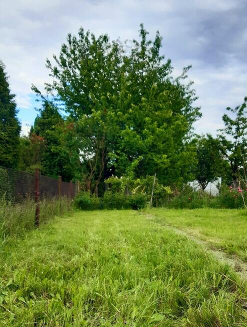 Działka ROD ogródek działkowy Gliwice sprzedam