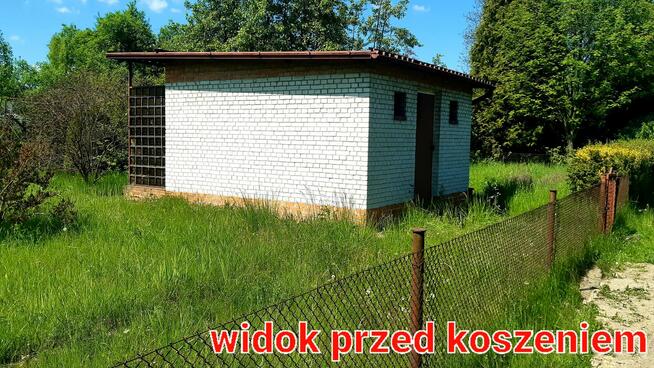 Działka ROD ogródek działkowy Gliwice sprzedam