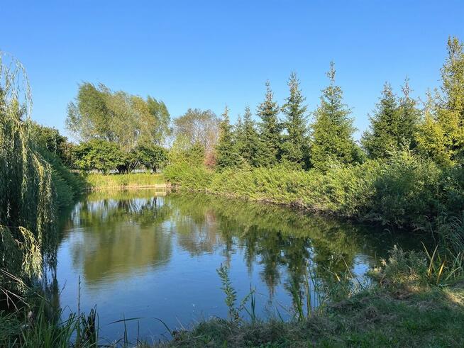 Dom z dwoma stawami i basenem Krobia