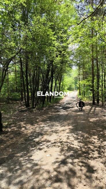 Leśna działka w sąsiedztwie rzeki Świder