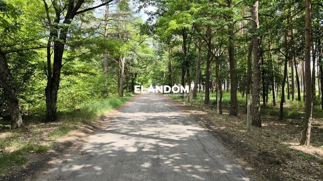 Leśna działka w sąsiedztwie rzeki Świder