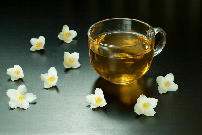 Sprzedaż hurtowa Jaśmin od producenta po optymalnych cenach