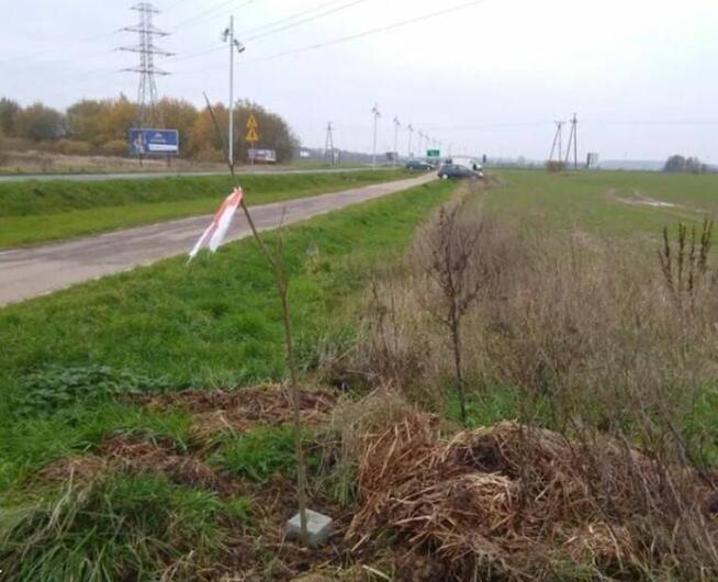 Wynajmę miejsce na reklamę Niechorze, Rewal