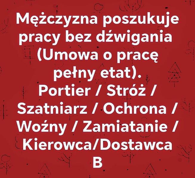 Poszukuję Pracy przy Ręcznym Zamiataniu