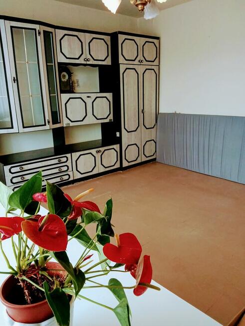 Sprzedam mieszkanie M -4 ,49,1m2.