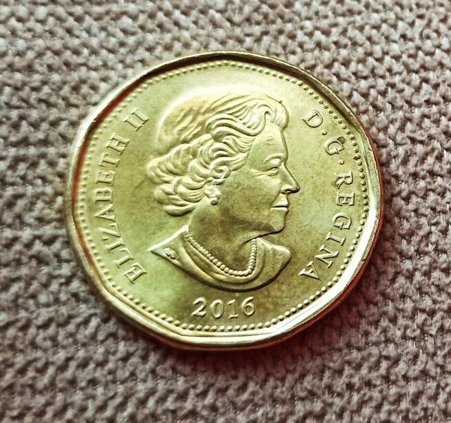 Moneta 1 $ kanadyjski 2016 r.