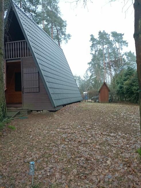 Wynajmę działkę letniskową z drewnianym domkiemw Jachrance