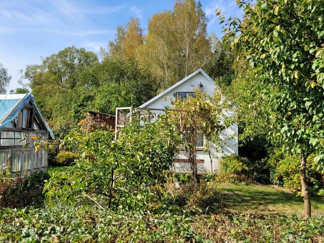 Ogródek działkowy w Łapach