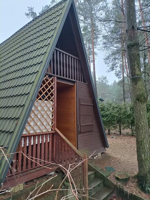 Wynajmę działkę letniskową z drewnianym domkiemw Jachrance