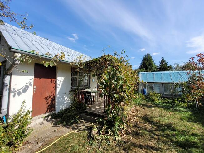 Ogródek działkowy w Łapach