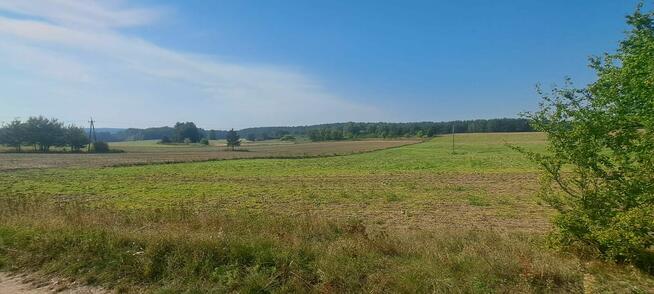 Urokliwa działka z widokiem na las- Letnica