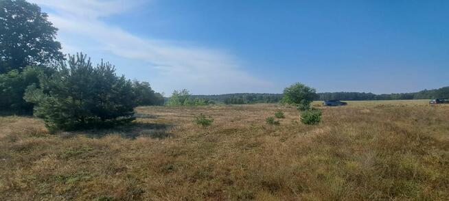 Urokliwa działka z widokiem na las- Letnica