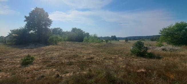 Urokliwa działka z widokiem na las- Letnica