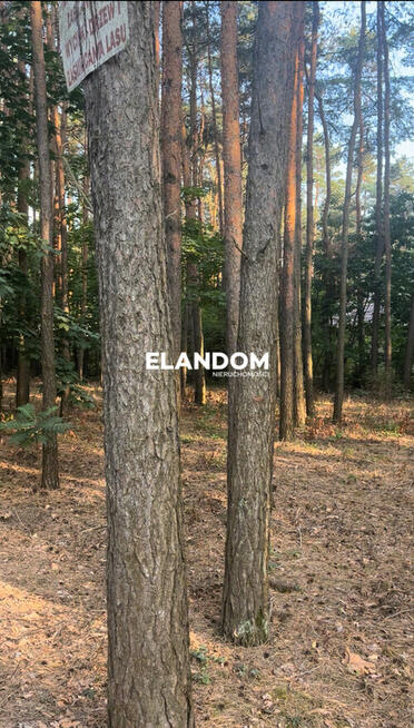 Idealna działka na dom w Sulejówku.