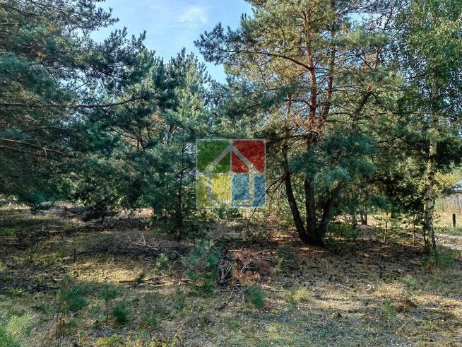 Działka budowlana pod Gostyninem