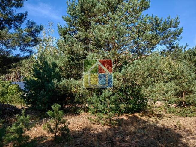 Działka budowlana pod Gostyninem