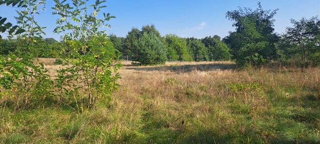 Urokliwa działka z widokiem na las- Letnica