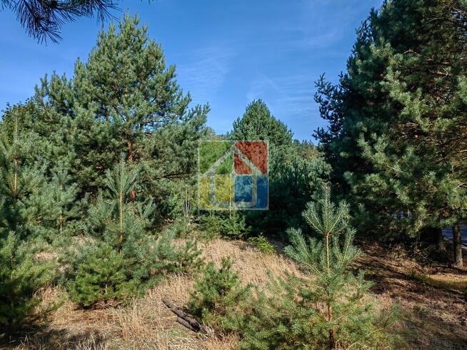 Działka budowlana pod Gostyninem