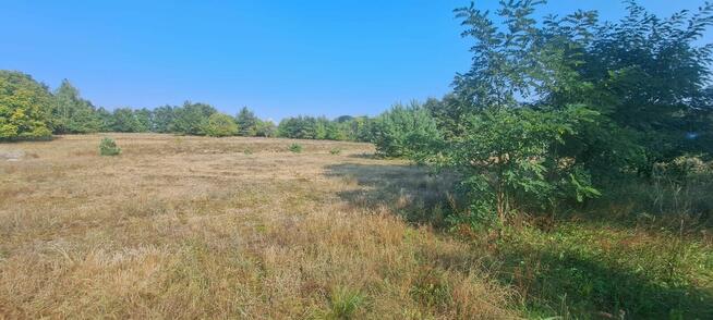 Urokliwa działka z widokiem na las- Letnica