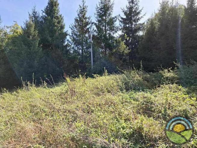 Nielepice gm. Zabierzów - działka budowlana 1300 m2