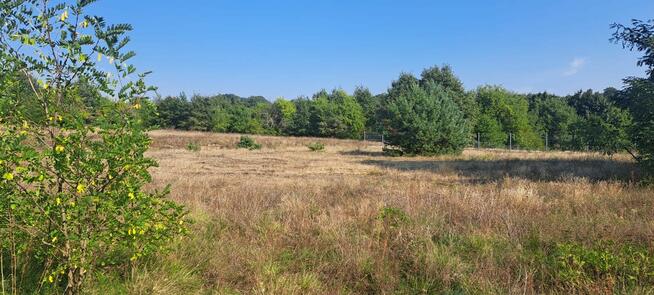 Urokliwa działka z widokiem na las- Letnica