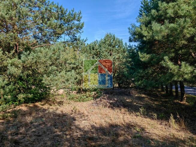 Działka budowlana pod Gostyninem