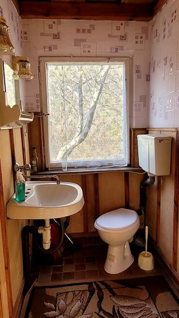 Ogródek działkowy w Łapach