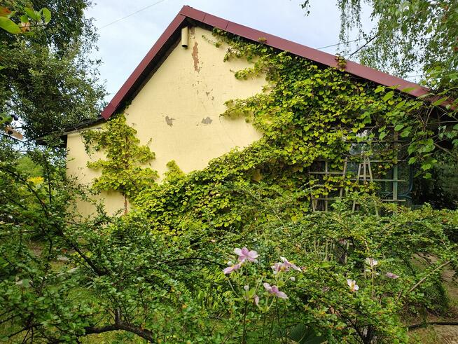 Ogród działkowy ROD ZORZA w Ziemnicach k/ Legnicy