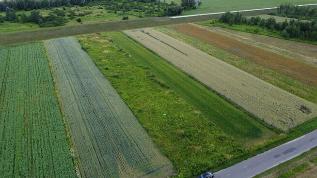 Działka Sandomierz ul Zarzekowice 38 ar - 4,5 km od Starówki