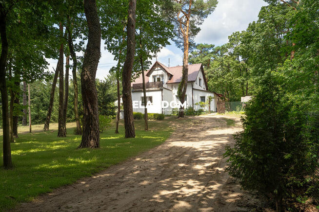 Duża działka w otoczeniu lasów Falenica