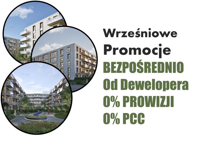 Katowice Paderewskiego Sikorskiego ogród 30m2