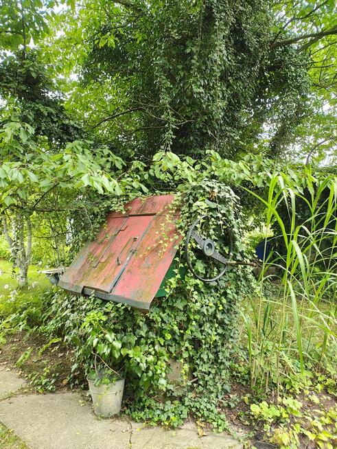 Ogród działkowy ROD ZORZA w Ziemnicach k/ Legnicy